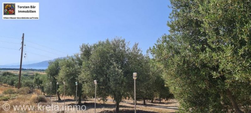 Kamilari Traumhaftes Grundstück mit 360° Panoramablick auf das lybische Meer und den höchsten Berg Kretas, den Psiloritis Grundstück